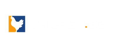 Chicken.gg